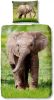 Good Morning Elephant Dekbedovertrek 100% Katoen 1 persoons(140x200/220 Cm + 1 Sloop) 1 Stuk(60x70 Cm) Multi online kopen