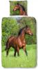 Good Morning Running Horse Dekbedovertrek Katoen 1 persoons(140x200/220 Cm + 1 Sloop) Multi online kopen