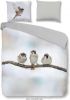 Good Morning Sparrow flanel dekbedovertrek Lits-jumeaux (240x200/220 cm + 2 slopen) online kopen