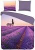 Pure Lavender Dekbedovertrek 2 persoons(200x200/220 Cm + 2 Slopen) Microvezel Purple online kopen