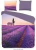 Pure dekbedovertrek Lavender paars 140x200/220 cm Leen Bakker online kopen