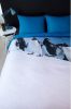 Ambiante dekbedovertrek Penguins blauw 200x200/220 cm Leen Bakker online kopen