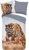 Good Morning Dekbedovertrek TIGER 155x220 cm meerkleurig online kopen