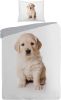 Iseng Puppy Dekbedovertrek Katoen 1 persoons(140x200/220 Cm + 1 Sloop) White online kopen