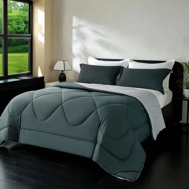 Arvion Dekbed 200x200 Omkeerbaar 4 Seizoenen Duvet Oeko-TEX Gecertificeerd 300GSM Microvezel met Kussenslopen Antraciet