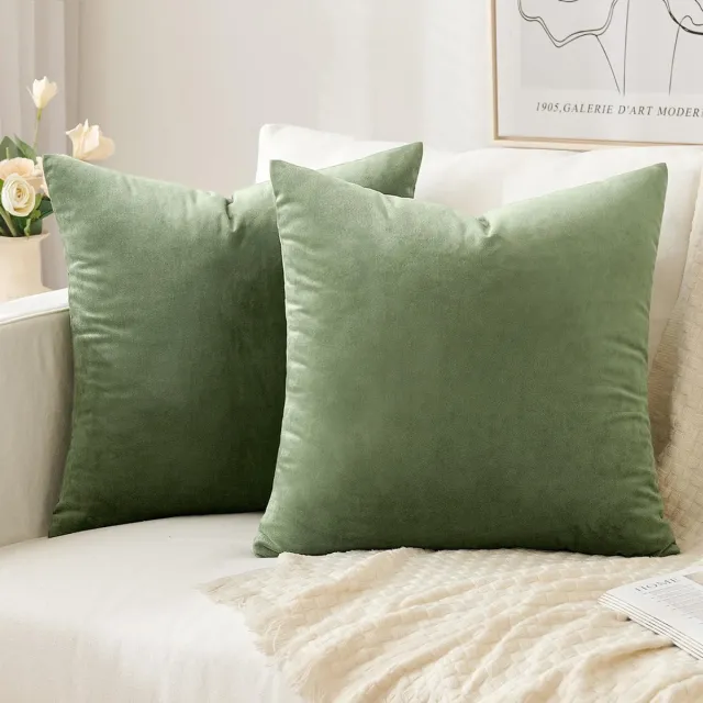 Famanu Set van 2 fluwelen kussenslopen - huishoudelijke decoratieve kussenhoezen - zachte sofakussen voor bank - slaapkamer - woonkamer - 40 x 40 cm - groen Green