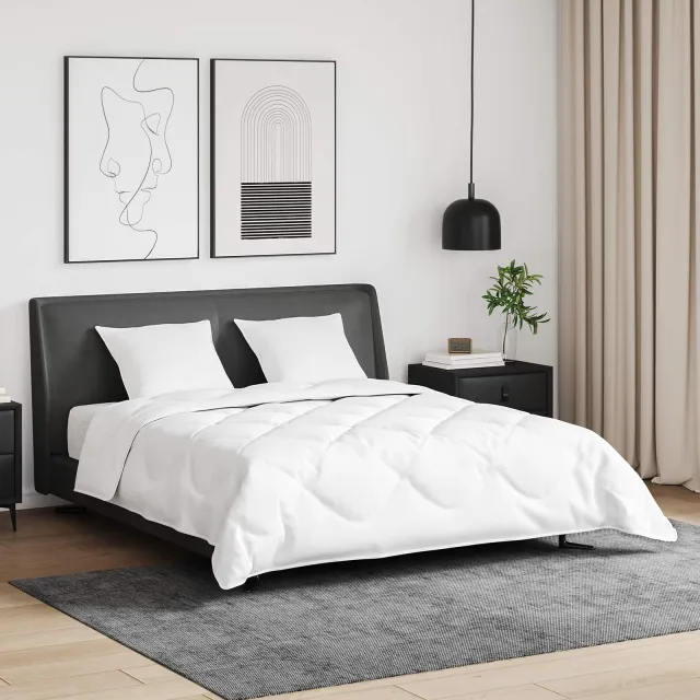 vidaXL Dekbed Set met kussen 3 st Wit Donsveertjes