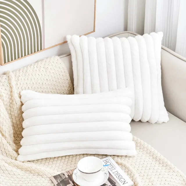 OKWISH Kussenslopen – Zachte Kussenslopen Set Voor Sierkussens, Dubbelzijdige Fluwelen Stijl Met Rits, Ideaal Voor Woonkamer Decoratie – 30x50 Cm – Fluweel – Wit