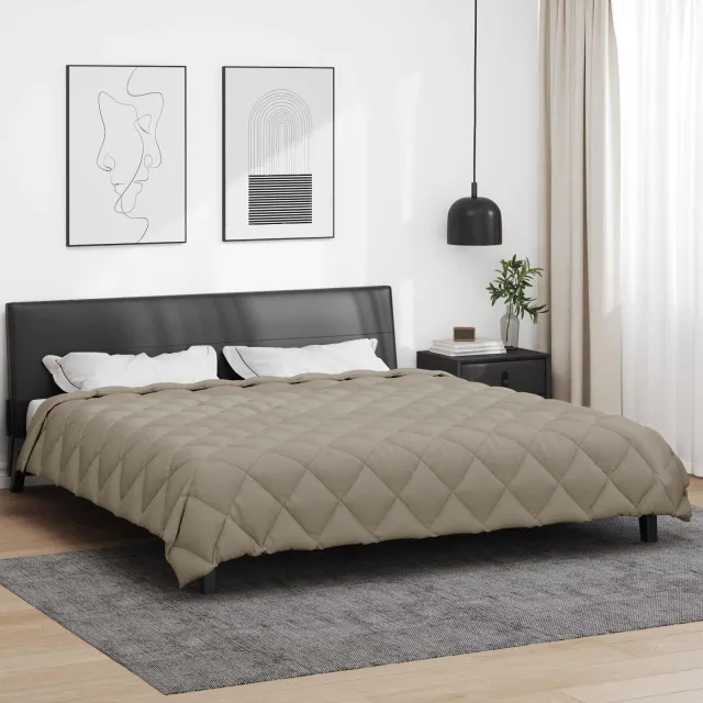 vidaXL Winter Dekbed 220 x 240 cm 450 gsm Microvezel Lichtgrijs