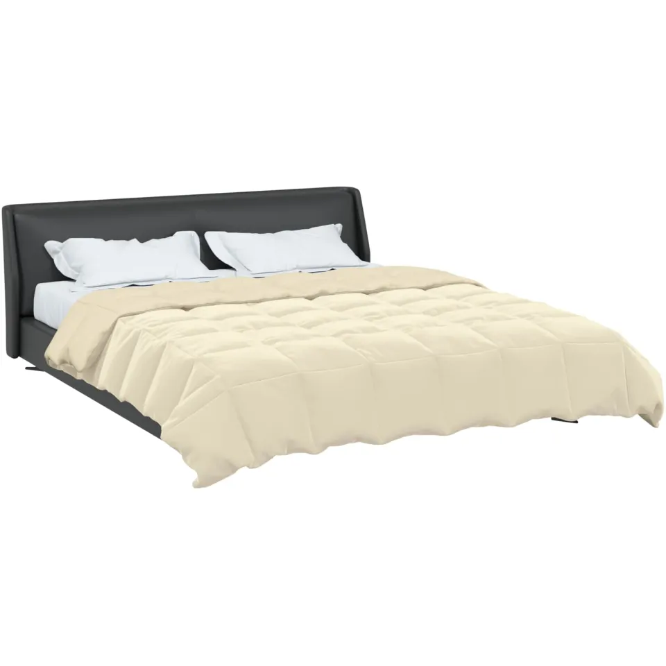 vidaXL Winter Dekbed 200 x 200 cm Winter Microfiber (100% polyester) crème, foto 2