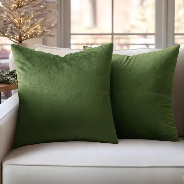Famanu Set van 2 fluwelen kussenhoezen, decoratieve kussenslopen voor sofa en slaapkamer, 50 x 50 cm, matcha groen