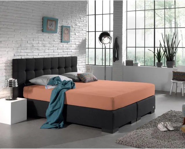 Dreamhouse Dubbel Jersey Hoeslaken – 140x200/220 – Pastel Oranje – Lekker Zacht Wit