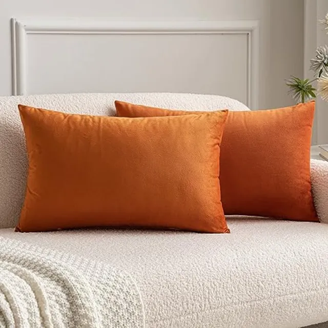 Miulee Set van 2 fluwelen kussenhoezen Decoratieve sierkussens Bankkussens Lendenkussens Kussenhoes met verborgen rits Bank Slaapkamer 12 x 20 inch 30 x 50 cm Oranje