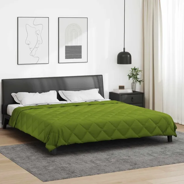 vidaXL Zomer Dekbed 220 x 260 cm 200 gsm Microvezel Groen