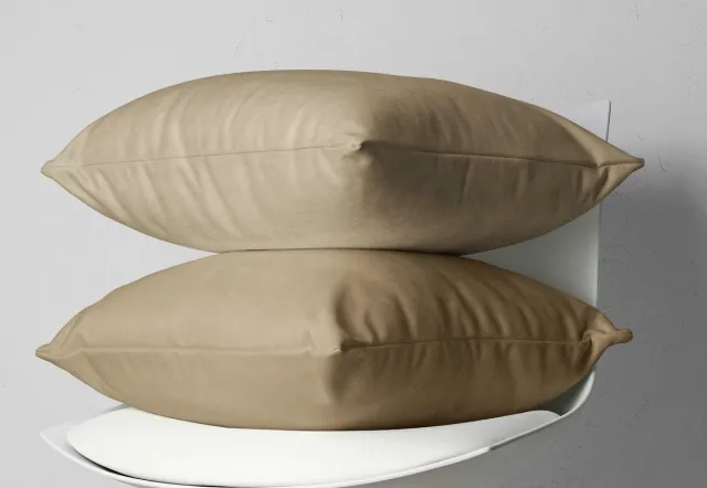 Dreamhouse Set van 2 warme en zachte flanellen kussenslopen (kussensloop) effen TAUPE (lichtbruin) FLANEL voor standaard hoofdkussen (op bed) 60 x 70 cm (winter beddengoed slaapkamer, cadeau Sint & Kerst)