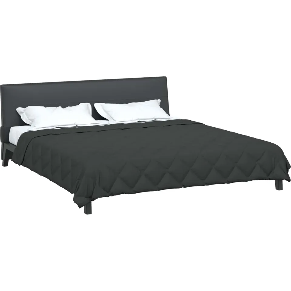 vidaXL Zomer Dekbed 220 x 260 cm 200 gsm Microvezel Antraciet, foto 2