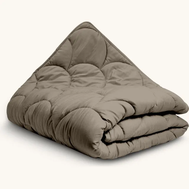Zydante Eazzzy Dekbed Zonder Overtrek - All year - All-in One Lazy Dekbed - Taupe / 200x140