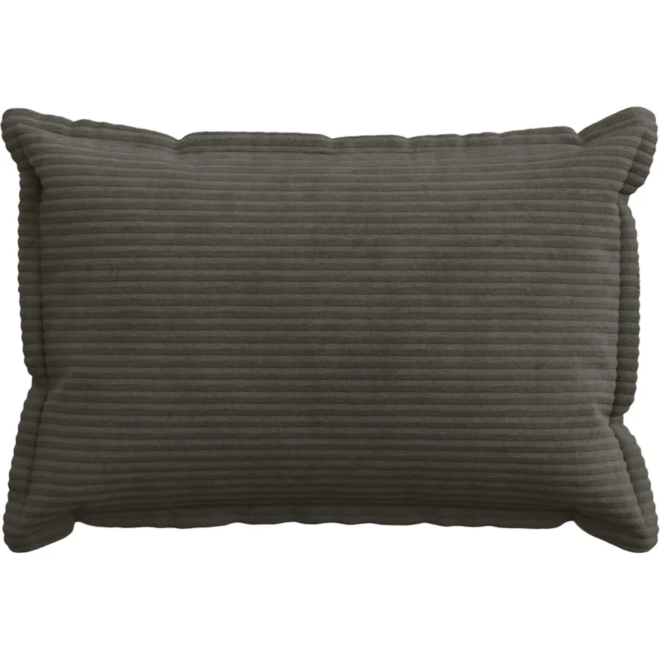 vidaXL Kussensloop 2 st HOUTEN Antraciet 30 x 50 cm corduroy Anthraciet