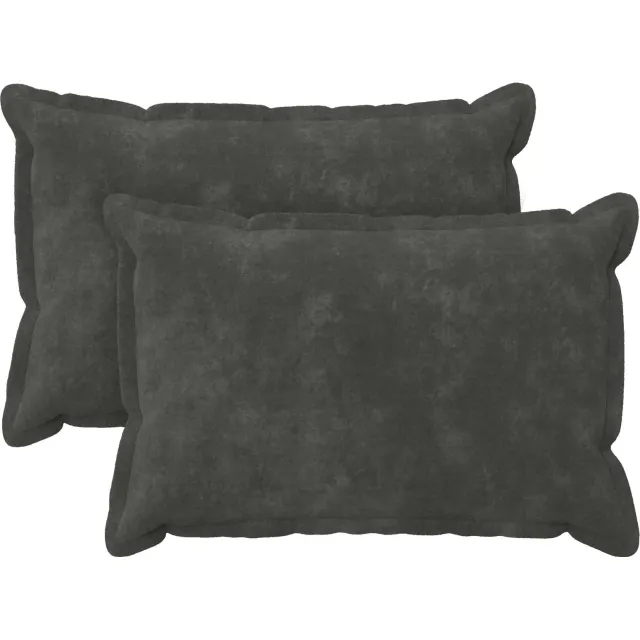 vidaXL Kussensloop 2 st HOUTEN Antracietkleurig 40 x 60 cm Anthraciet