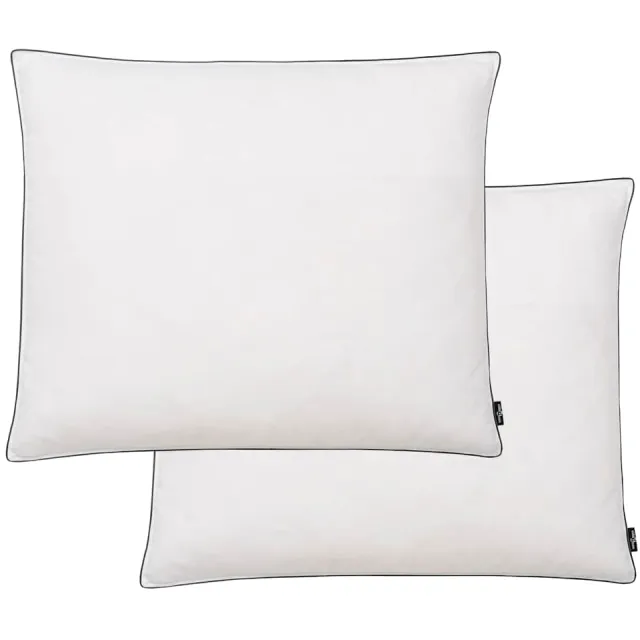 vidaXL Kussens 2 st zwaar 70x60 cm dons-/verenvulling wit