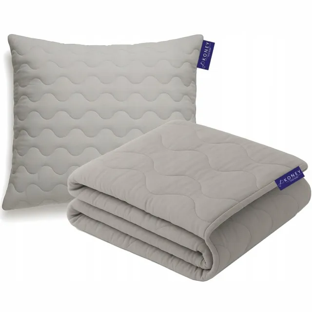 Koney Dekbedset 140 x 200 cm met hoofdkussen 70 x 80 cm - Grijs - all year