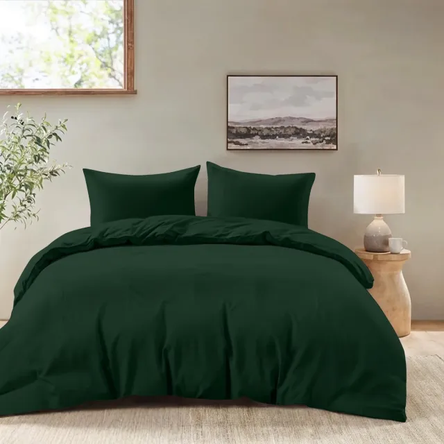 Famanu Ultrazachte dekbedovertrek van 240 x 220 cm met 2 kussenslopen van 50 x 70 cm, groen, 100% microvezel, ideaal voor een comfortabele slaapervaring met verborgen ritssluiting Transparant