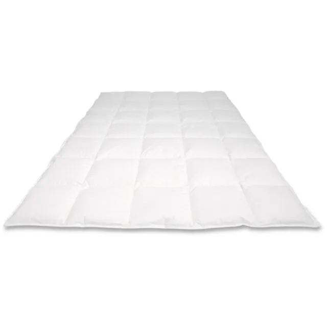 Cassenz PICASSO | donzen dekbed | 90% ganzendons | Herfst | warmteklasse 3 Wit