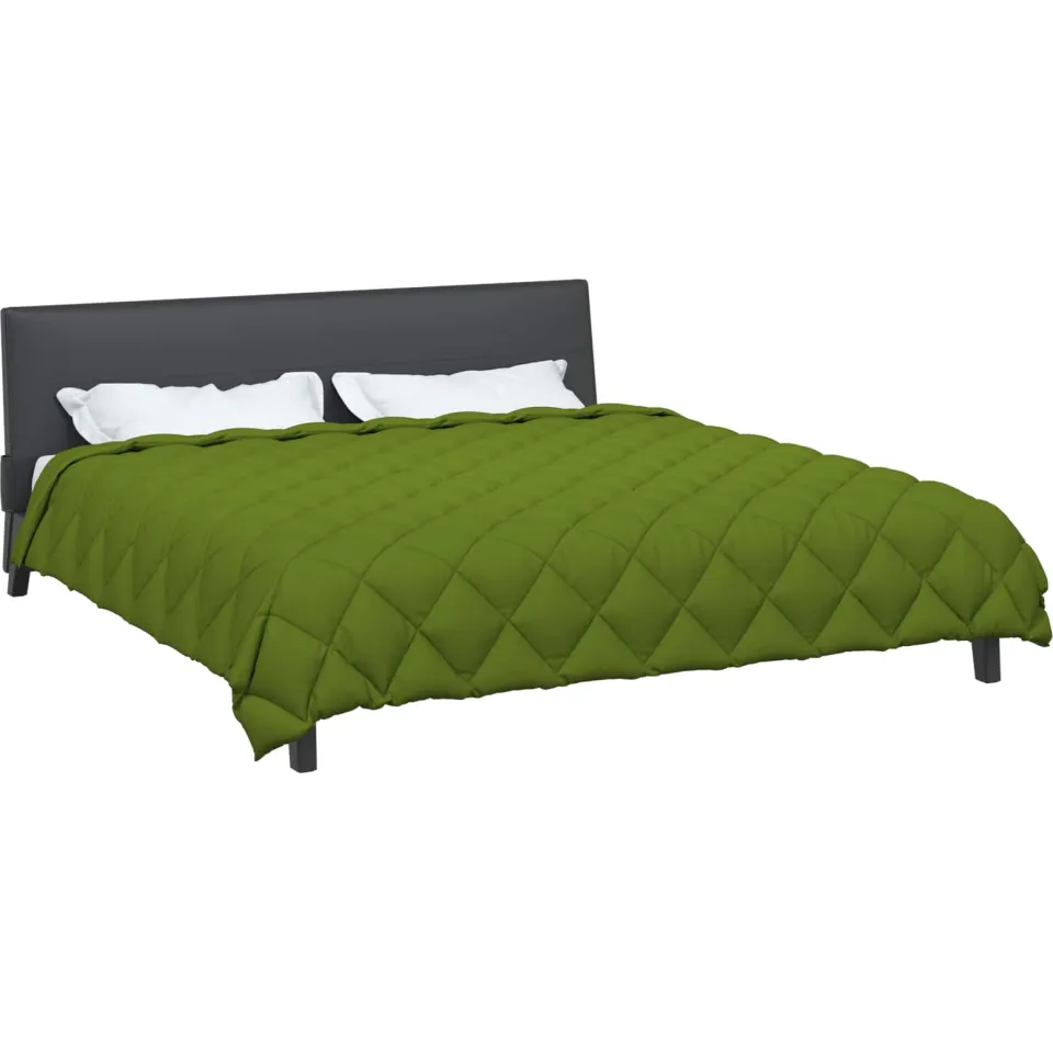 vidaXL Winter Dekbed 220 x 240 cm 450 gsm Microvezel Groen, foto 2