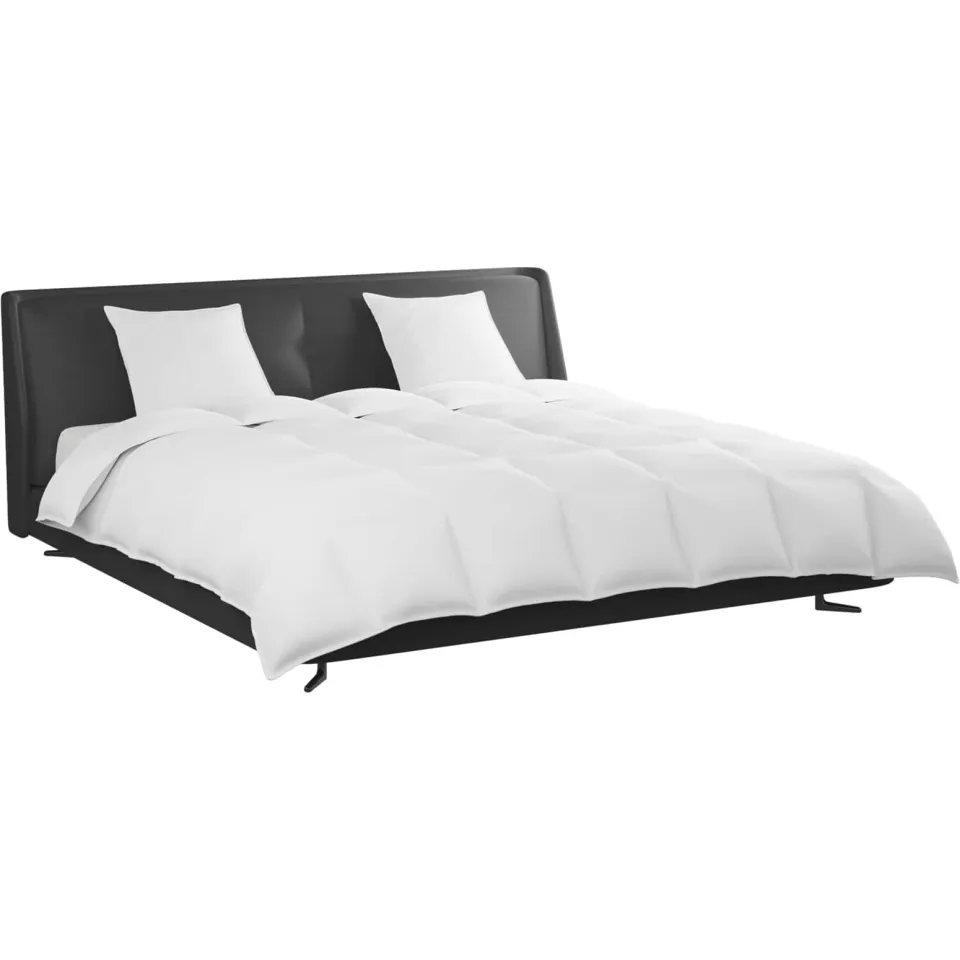 vidaXL Dekbed Set met kussen 3 st Wit Donsveertjes, foto 2