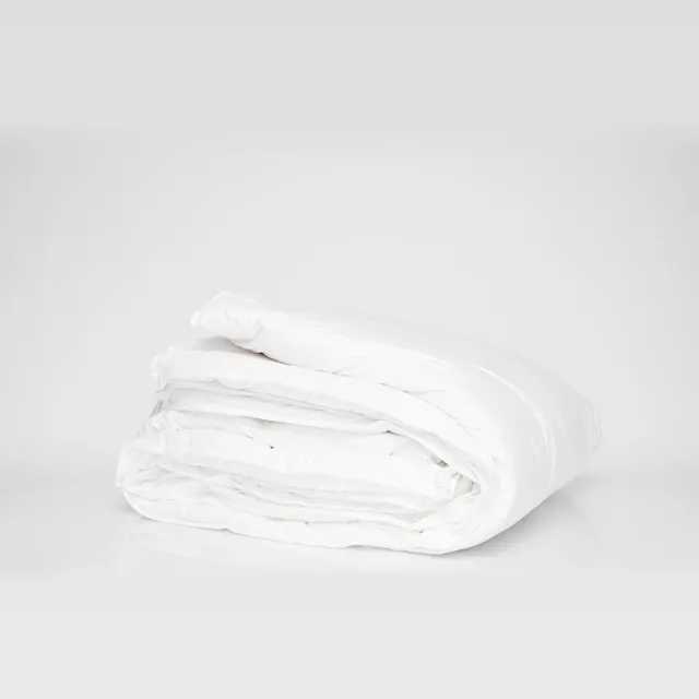 Plutex Donsdeken - 95% witte Poolse ganzendons - 200x220 - 4-Seizoenen