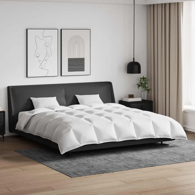 vidaXL Dekbed Set met kussen 3 st Wit Donsveertjes, foto 2