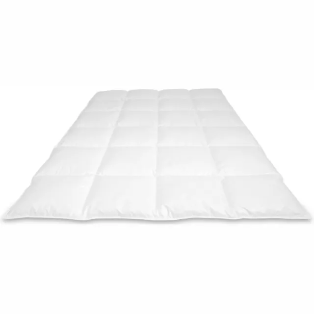 Cassenz DA VINCI Dekbed | 100% Mazurische ganzendons | Tencel®/zijde tijk | Winter - warmteklasse 2 - 240/200cm - 825gr. wit