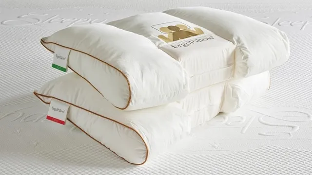 Sleepy Ergopillow Extra Soft hoofdkussen 65x47 - 12cm dik BI-OME® hoes - OEKO-TEX® Standard 100 Wit