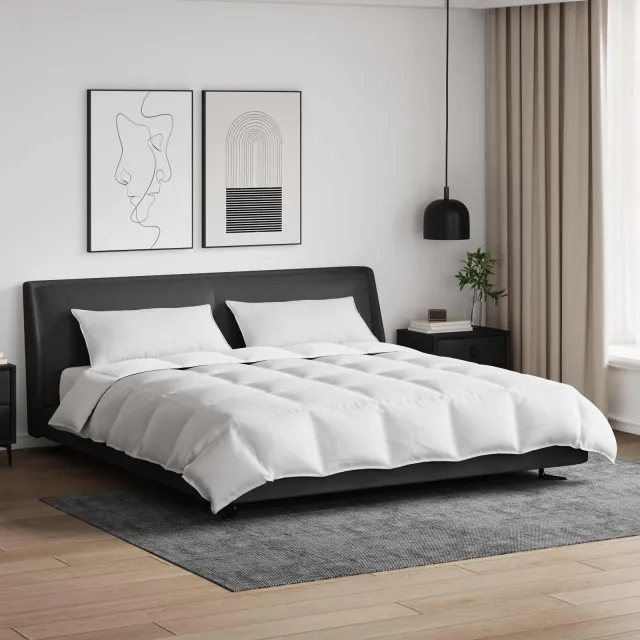 vidaXL Dekbed Set met kussen 3 st Wit Donsveertjes