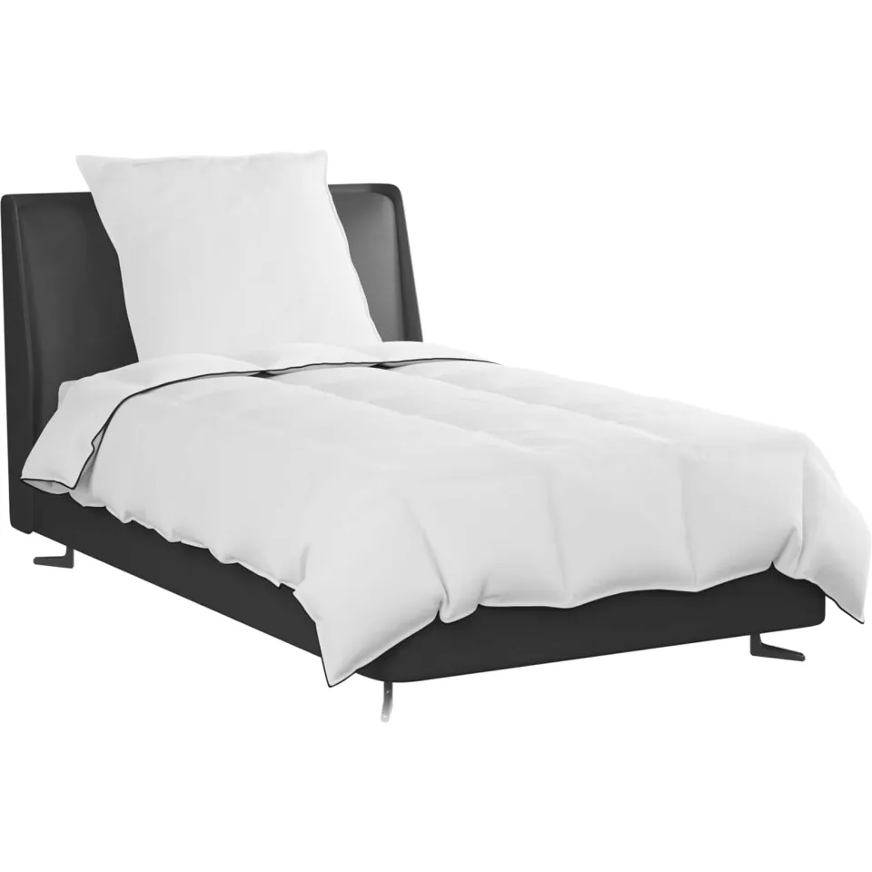 vidaXL Winter Dekbed met kussen 2 st Wit Donsveertjes, foto 2