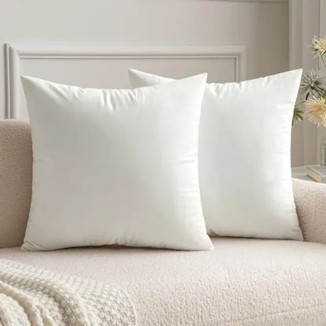 Miulee Set van 2 fluwelen kerstkussenhoezen Decoratieve sierkussens Bankkussens Lendenkussens Kussenhoes met verborgen rits Bank Slaapkamer 16x16 inch 40x40 cm Zuiver wit