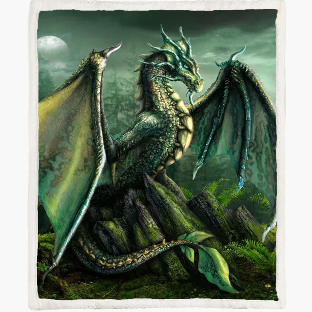 The Coloured House Fleece Deken 150*200cm Garwin Dragon Draak Multicolor