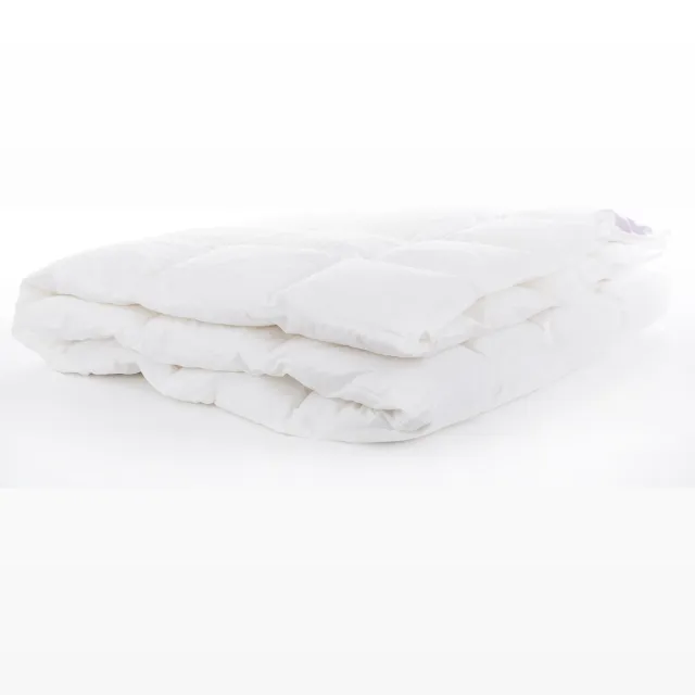 bjorn Provence Light 240x220 - Dekbed - 90% Dons - Zomerdekbed 240x220 - Tweepersoons Dekbed - Comfort en Ademend - Natuurlijke Ganzendons - Anti Allergie Dekbed - Zomer - Wasbaar - OEKO-TEX® Wit