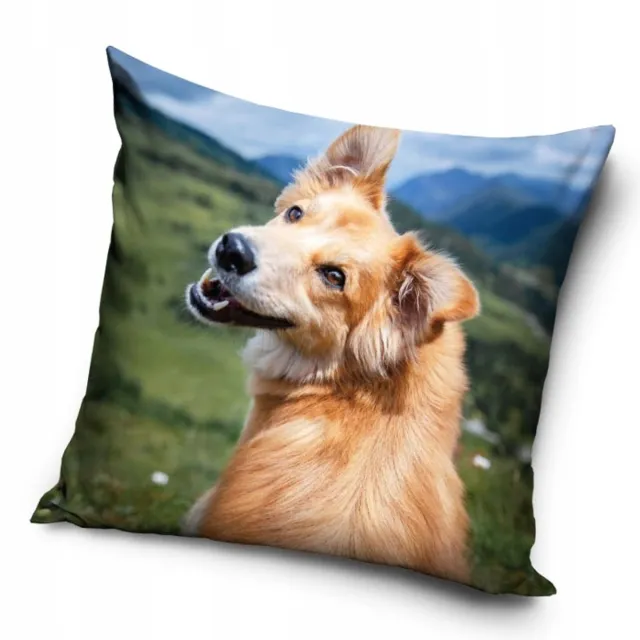 Carbotex Honden Kussenhoes 40x40 cm - Zacht & Duurzaam Multicolor