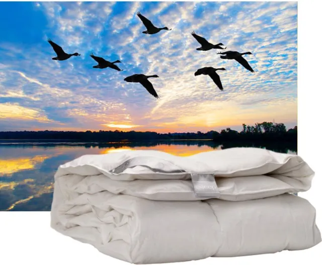 iSleep Donzen Dekbed - Enkel - 100% Dons - Warmteklasse 2 - Eendendons - Eenpersoons - 140x200 cm Wit