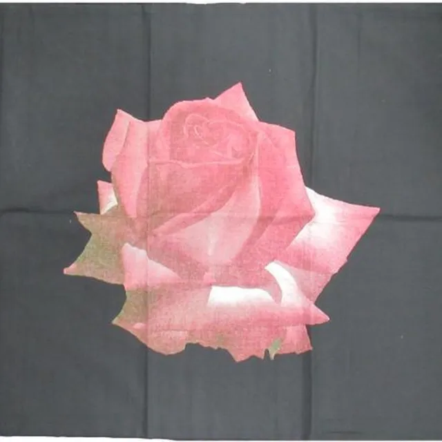 Brighton Rosalie Dekbedovertrek - Eenpersoons - 140x200/220 cm - Zwart