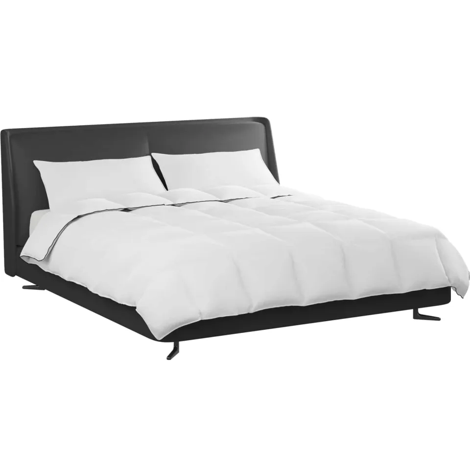 vidaXL Winter Dekbed met kussen 3 st Wit Donsveertjes, foto 2