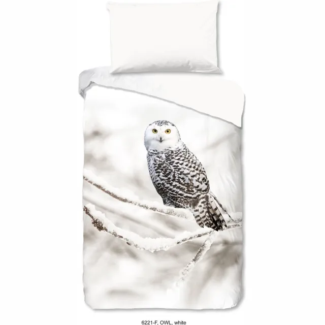 Good Morning Snowy Owl Wit