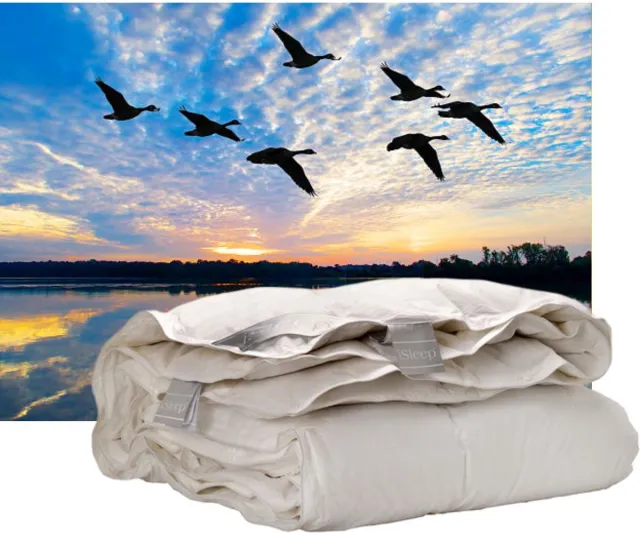 iSleep Donzen 4-Seizoenen Dekbed - 100% Dons - Eendendons - Litsjumeaux - 240x220 cm Wit