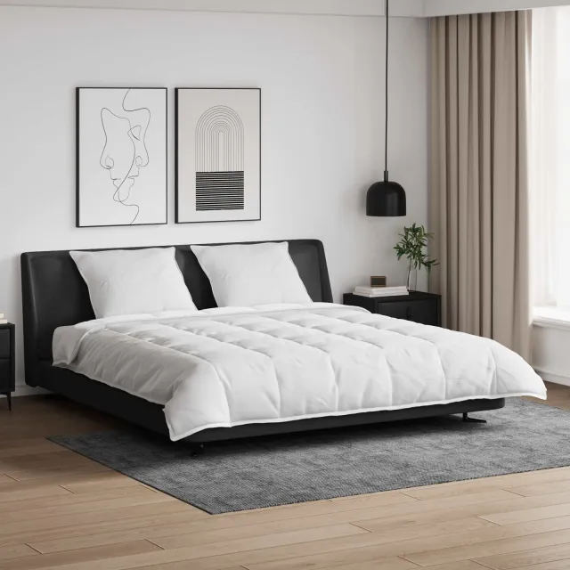 vidaXL Dekbed Set met kussen 3 st Wit Donsveertjes