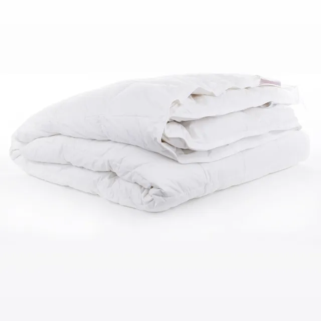 bjorn Provence Medium 260x220 - Dekbed - 90% Dons - Lente Herfs 260x220 - Tweepersoons Dekbed - Comfort en Ademend - Natuurlijke Ganzendons - Anti Allergie Dekbed - Lente/Herfst - Wasbaar - OEKO-TEX® Wit