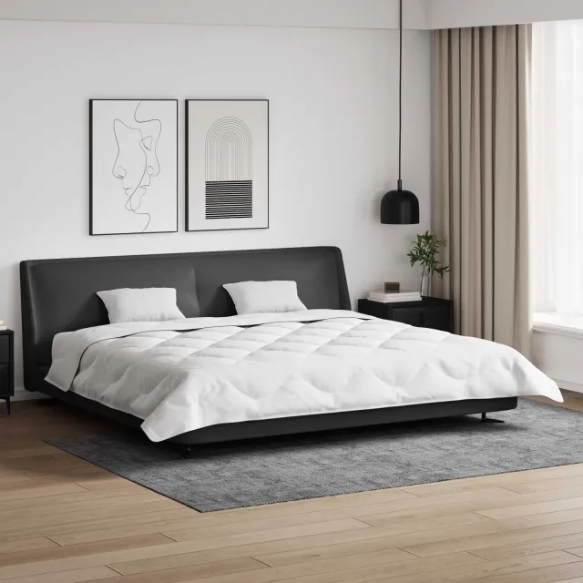 vidaXL Dekbed met Kussens 3 st Wit Microfiber en Dons Feather