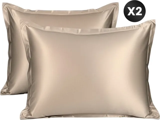 DIVERZA Satijnen Kussenslopen - Set van 2 kussenslopen - Glanzend en Zachte Satijnen Stof - 60x70cm - Champagne Rosé Champagne - Rosé