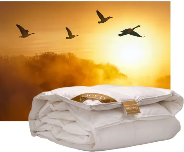 iSleep Gold Donzen Enkel Dekbed - 100% Dons - Ganzendons - Eenpersoons - 140x220 cm Wit
