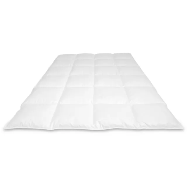 Cassenz DA VINCI Dekbed | 100% Mazurische ganzendons | Tencel®/zijde tijk | Winter - warmteklasse 2 - 240/220cm - 900gr. wit